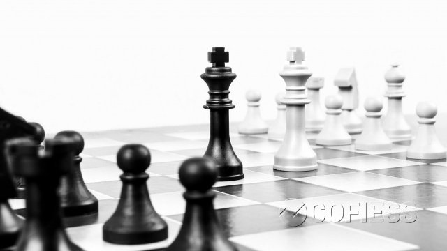 Niveles de toma de decisiones - Administrativo COFIESS