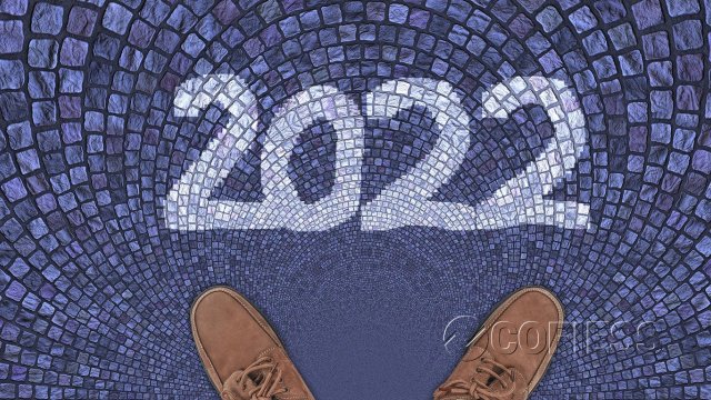 Reformas Fiscales 2022 COFIESS