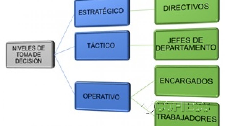 Organigrama COFIESS